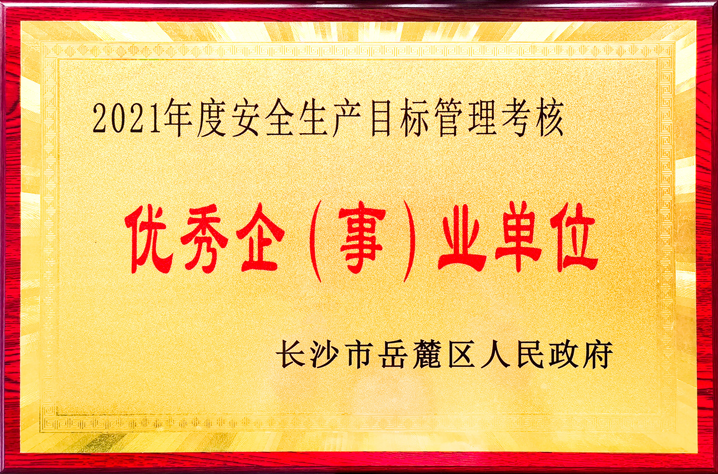 1657185560730464.jpg ae9e08256ca0f6a8537a8d4a9ccec50.jpg